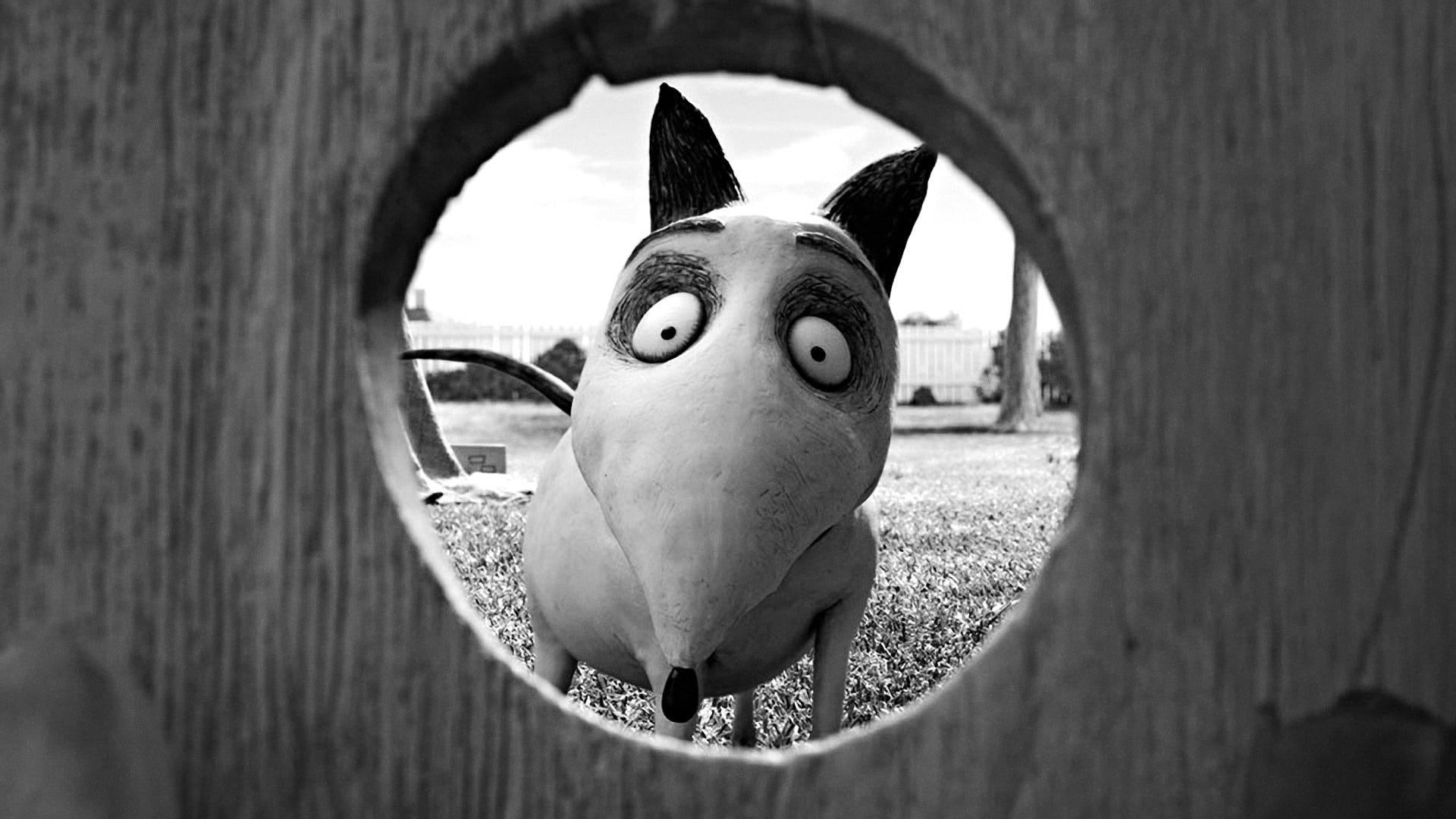 دانلود انیمیشن Frankenweenie 2012