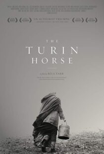 دانلود فیلم The Turin Horse 201110493-1078294424