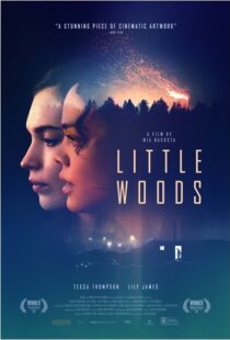 دانلود فیلم Little Woods 201822292-1534062756