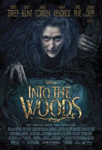 دانلود فیلم Into the Woods 20143675-989914115