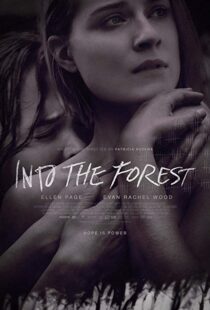 دانلود فیلم Into the Forest 20159776-692319880