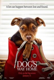 دانلود فیلم A Dog’s Way Home 20198110-1242810198