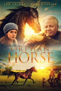 دانلود فیلم Orphan Horse 20188125-624677331