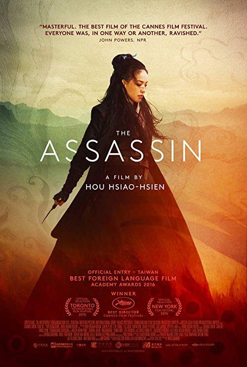 دانلود فیلم The Assassin 2015