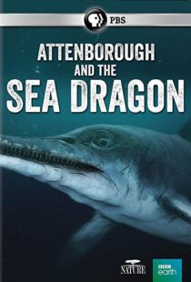 دانلود مستند Attenborough and the Sea Dragon 20188753-735511610