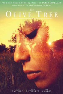 دانلود فیلم The Olive Tree 201615934-1837321785