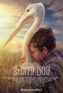 دانلود فیلم Storm Boy 20199003-657373134