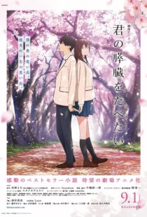 دانلود انیمه I Want to Eat Your Pancreas 201819747-432743157