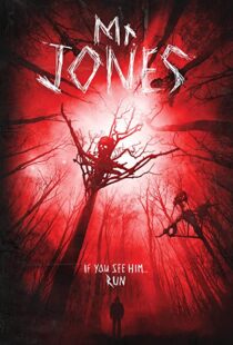 دانلود فیلم Mr. Jones 201337611-659240025