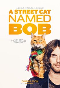 دانلود فیلم A Street Cat Named Bob 201641621-709284292