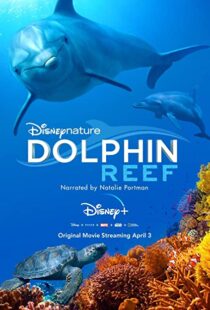 دانلود مستند Dolphin Reef 201838724-2146972658