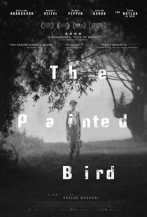 دانلود فیلم The Painted Bird 201943285-1446361716