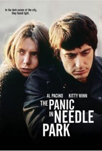 دانلود فیلم The Panic in Needle Park 197150558-786086260