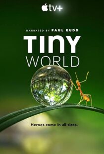 دانلود مستند Tiny World52124-1714276739