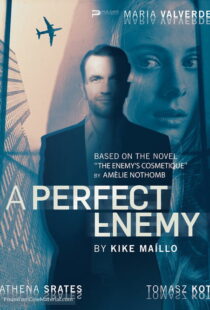 دانلود فیلم A Perfect Enemy 202082295-457307900