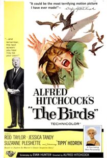 دانلود فیلم The Birds 196382372-1797985909