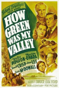 دانلود فیلم How Green Was My Valley 194181855-1710065243