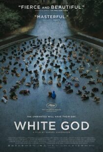 دانلود فیلم White God 201482109-1217609870