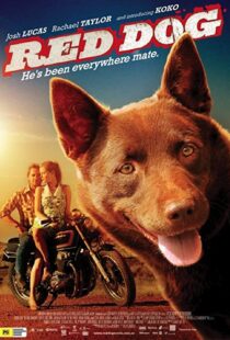 دانلود فیلم Red Dog 201187414-213257421