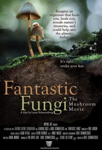 دانلود مستند Fantastic Fungi 2019100518-446095892