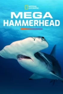 دانلود مستند Mega Hammerhead 2016103122-838750663