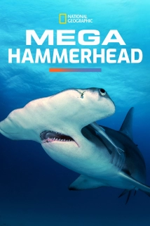 دانلود مستند Mega Hammerhead 2016