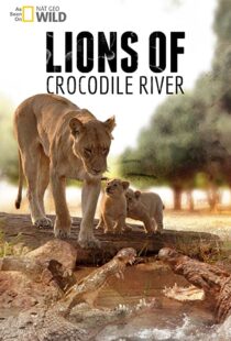 دانلود مستند Lions of Crocodile River 2007103328-660917801