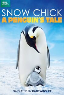 دانلود مستند Snow Chick: A Penguin’s Tale 2015109604-43817164