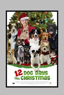 دانلود فیلم 12 Dog Days Till Christmas 2014100712-1551014522