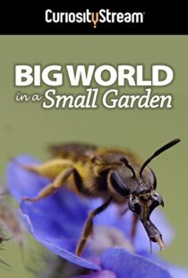 دانلود مستند Big World in a Small Garden 2016102965-1357311585