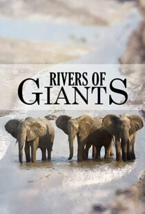 دانلود مستند Rivers of Giants 2005102245-352180685