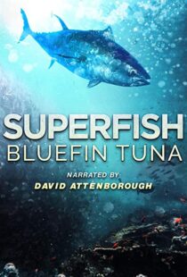 دانلود مستند Superfish Bluefin Tuna 2012101607-684626675