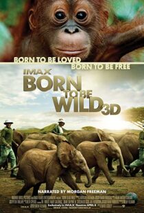 دانلود مستند Born to Be Wild 2011110503-1089728608