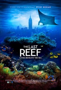 دانلود مستند The Last Reef 2012113204-246433733