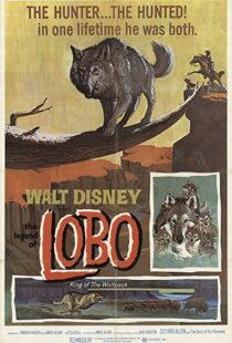 دانلود فیلم The Legend of Lobo 1962111441-575792253