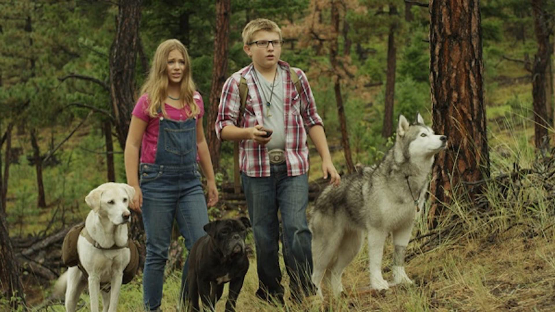 دانلود فیلم Timber the Treasure Dog 2016