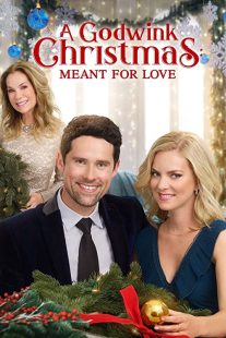 دانلود فیلم A Godwink Christmas: Meant for Love 201931842-2006390619