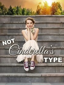 دانلود فیلم Not Cinderella’s Type 2018254350-328830798