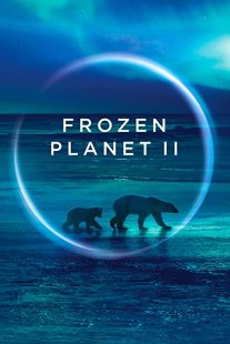 دانلود مستند Frozen Planet II268784-1232634837