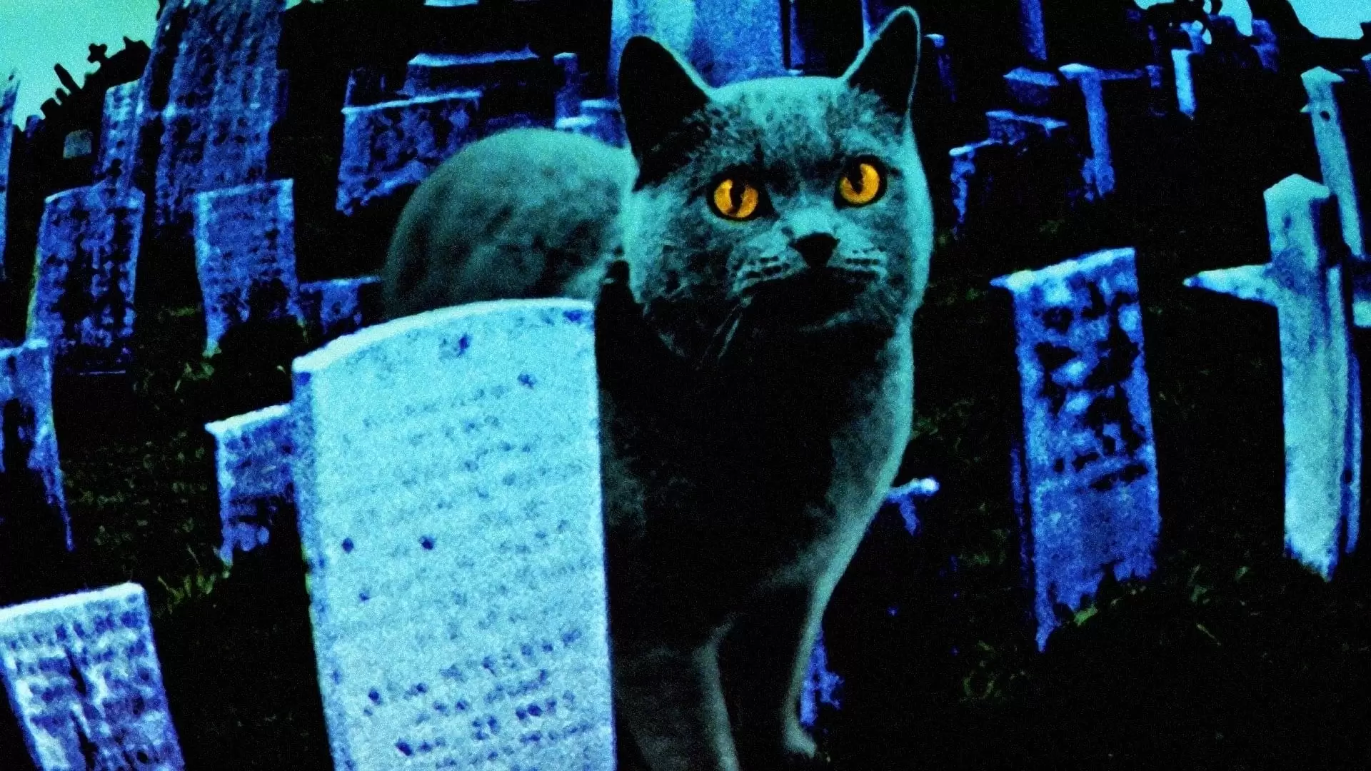 دانلود فیلم Pet Sematary 1989