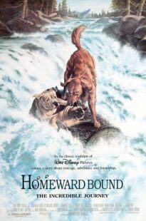 دانلود فیلم Homeward Bound: The Incredible Journey 1993371118-123362