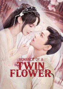 دانلود سریال Romance of a Twin Flower379211-1319158474