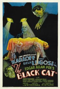 دانلود فیلم The Black Cat 1934378235-2087178702