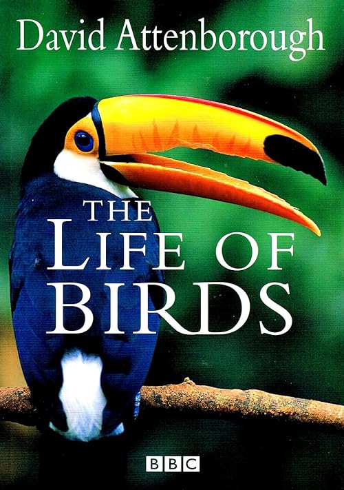 دانلود مستند The Life of Birds