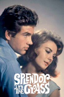 دانلود فیلم Splendor in the Grass 1961382554-1064046056