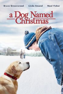 دانلود فیلم A Dog Named Christmas 2009389298-2045723108