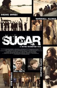 دانلود فیلم Sugar 2013395312-706213283