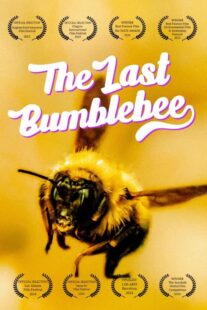 دانلود مستند The Last Bumblebee 2024399140-1806002815