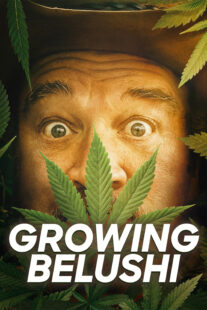 دانلود سریال Growing Belushi400424-1123082816