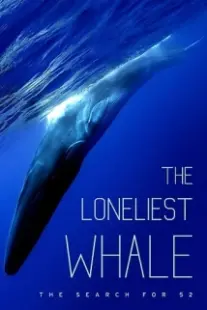 دانلود فیلم The Loneliest Whale: The Search for 52 2021403098-1907089686